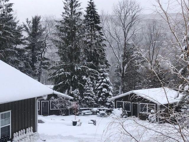Belleayre Lodge Pine Hill Exterior foto